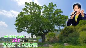 아버지의 강👴 #강문경 과 함께하는 예산군 덕산면 둔리 느티나무 / KBS 대전 방송