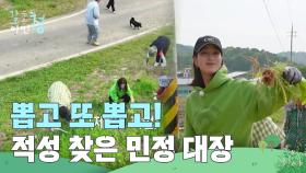 ＂뽑고 또 뽑고!🌿＂ 잡초 뽑다 적성 찾은 이민정 | KBS 250613 방송