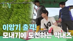 모판 채우고 이앙기 출격! 모내기에 도전하는 막내즈👨‍🌾 | KBS 250613 방송