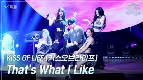 [가로] KISS OF LIFE (키스오브라이프) - Thats What I Like | KBS 250613 방송