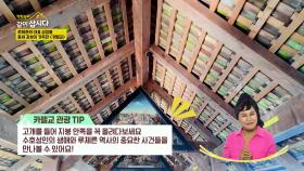 루체른의 대표 상징물 중세 감성이 가득한 ＜카펠교＞ | KBS 250616 방송