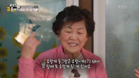 도포 자락 휘날리며 금송아지 찾아 출발~! | KBS 250616 방송