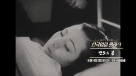 [예고] ＜반도의 봄＞ | KBS 방송