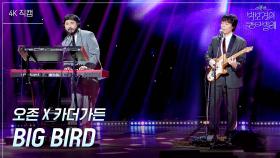 [가로] 오존 X 카더가든- BIG BIRD | KBS 250620 방송
