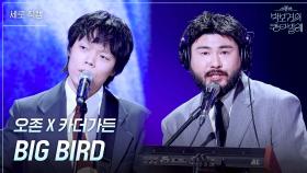 [세로] 오존 X 카더가든 - BIG BIRD | KBS 250620 방송