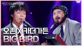 오존 X 카더가든- BIG BIRD | KBS 250620 방송