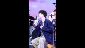 [세로] 이상순X박보검 - 네가 종일 내려 | KBS 250627 방송