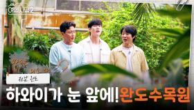 눈앞에 하와이! 완도수목원으로🌴 막내가 왼쪽으로 가면 우린 오른쪽~😁 | KBS 250629 방송