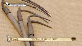 금산에 이거 없으면 안되는 대표 금송아지! | KBS 250630 방송