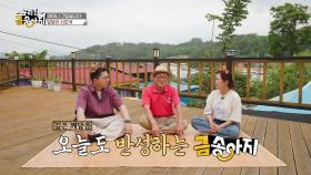 의뢰인의 깊은 효심에 오늘도 반성하게 되는 MC들! | KBS 250630 방송