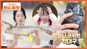 아기상어다! 이순신 장군의 보양식으로도 알려진 보약 생선 [약대구]🌟 약대구의 알이 백미! | KBS 250704 방송