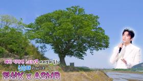 낯선이😎 #신승태 와 함께하는 예산군 덕산면 둔리 느티나무 / KBS 대전방송