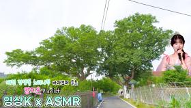 나비 당신🦋 #양지은 과 함께하는 대전광역시 중구 정생동 느티나무 2그루 / KBS 대전방송