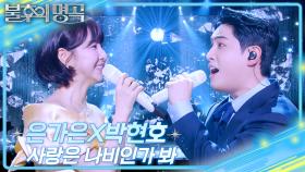 은가은&박현호 – 사랑은 나비인가 봐 | KBS 250712 방송