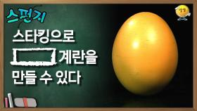 스타킹으로 [ ] 계란을 만들 수 있다 [스펀지 레전드] | KBS 060204 방송