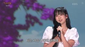 강혜연 - 사랑 사랑 누가 말했나(남궁옥분) | KBS 250714 방송
