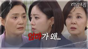 김애란&함은정&이상숙, 김애란 가게에서 마주친 세 사람?! [여왕의 집] | KBS 250715 방송