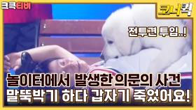 출동 김반장 : 전투견 상근이를 투입해! [크큭티비] | ep.445-447 | KBS 방송