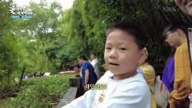 판다의 고향으로 유명한 청두 ＂판다 보셨나요?＂ | KBS 250716 방송