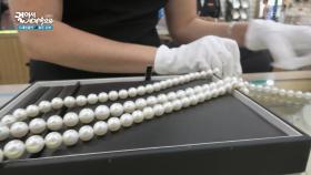 브룸에서 유명한 진주 ＂진주 양식장을 찾아갔다!＂ | KBS 250718 방송