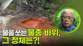 물을 쏘는 물총 바위, 그 정체는?! “ 신비로운 자연 현상 ” | KBS 250721 방송