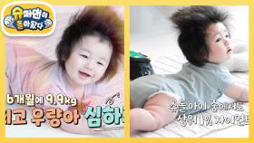 [심형탁네] 생후 6개월에 9.9kg! 비주얼, 몸무게, 머리숱 상위 1% 아기등장 | KBS 250723 방송