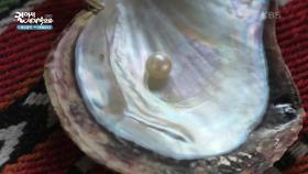 북쪽의 해안도시 라스알카이마 ＂진주 양식장으로 가요＂ | KBS 250722 방송