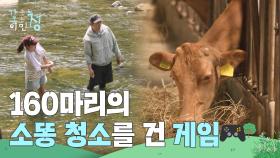 160마리의 소똥 청소를 건 게임🎮 “ 청소하기 싫어요😢 ” | KBS 250725 방송