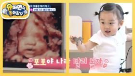 [헤이지니네] 동생 태어나기 D-1♥ 채유 누나가 포포에게 선물하고 싶은 선물은? | KBS 250730 방송