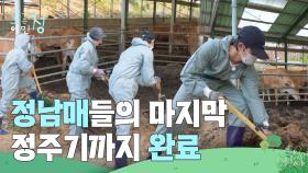 정남매들의 마지막 정주기까지 완료😎 | KBS 250725 방송