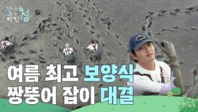 여름 최고 보양식 짱뚱어 잡이 ＂최고의 달리기 선수는 누구?!＂ | KBS 250801 방송