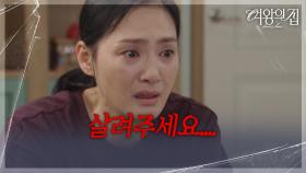 “ 살려주세요.... ” 김애란, 미람이 사고난 날의 통화 녹음을 듣게 되다! [여왕의 집] | KBS 250814 방송