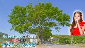 선비 좋아 마세요🥰 #배아현 과 함께하는 부여군 규암면 함양리 느티나무 / KBS 대전방송