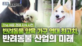 반려동물 양육 인구 1500만 시대, 연간 5조 원으로 성장한 반려동물 산업 [경제 스포트라이트] | KBS Life 20250825 방송