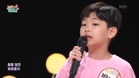 봄을 닮은 벚꽃비 (박윤희 작사/여유미 작곡)♬ - 박시윤 | KBS 250904 방송