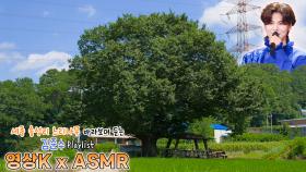 대취타🎶 #김준수 와 함께하는 세종시 전동면 송성리 느티나무 / KBS 대전방송