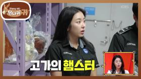 인천공항세관에서 안 찾아간 물건은 어디로? 몸 안에 햄스터를 숨긴 승객?! | KBS 250921 방송