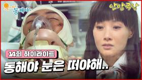 [14화 하이라이트] 버리고 떠난 박정아를 위해 목숨걸고 대신 사고를 당한 지창욱 [웃어라 동해야/안방극장] | KBS 방송