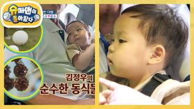 [김준호네] 화개정원 전망대로 향하는 모노레일 안 정우의 동식물 관찰 일지♥ | KBS 250924 방송