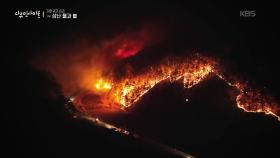 불타는 지구, 예측되는 미래 | KBS 250925 방송