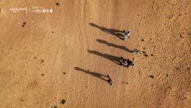 생존을 위한 10km 여정, 인도 라자스탄 | KBS 250925 방송