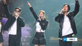 코요태 - 순정 | KBS 250928 방송