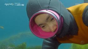 사라지는 계절을 기록하다! ＂이 순간에도 생존은 위협받는다＂ | KBS 251002 방송