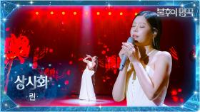 린（Lyn） - 상사화 | KBS 251007 방송