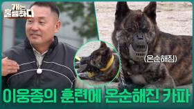 계속되는 입질과 교육 거부! 이웅종의 훈련에 온순해진 카파😊 | KBS 251009 방송