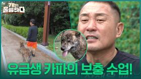 유급생 카파의 보충 수업! 고양이 앞에서도 통제되는 카파✨ | KBS 251009 방송