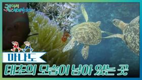 태초의 모습이 남아 있는 곳, 마지막 순수의 땅 | KBS 251011 방송