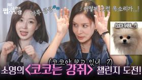 해원, 고소영에 강아지 목소리 속성 강의🐾🐶 챌린지까지 도전?! | KBS 251013 방송