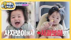 [심형탁네] 사과 같은 하루 예쁘기도 하지요~🍎 사과 머리하고 사과 먹방하는 하루 | KBS 251015 방송