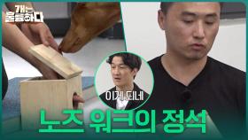 너 내 탐지견이 되어라! 노즈 워크의 정석 | KBS 251016 방송